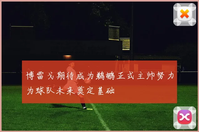 博雷戈期待成为鹈鹕正式主帅努力为球队未来奠定基础