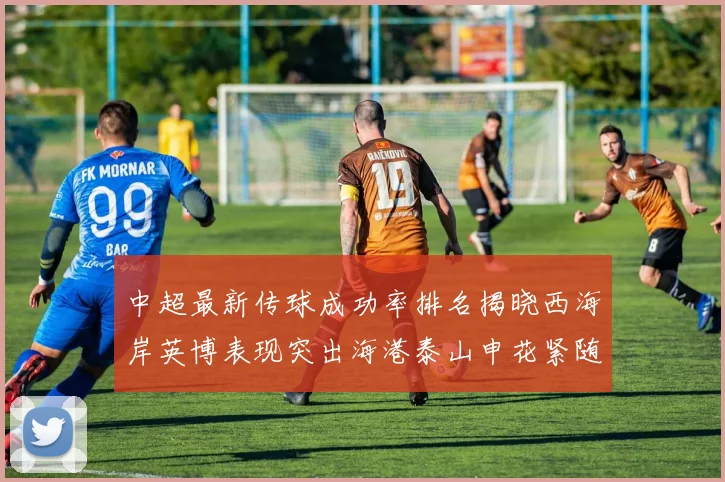 中超最新传球成功率排名揭晓西海岸英博表现突出海港泰山申花紧随其后