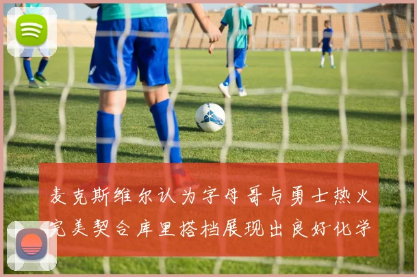 麦克斯维尔认为字母哥与勇士热火完美契合库里搭档展现出良好化学反应